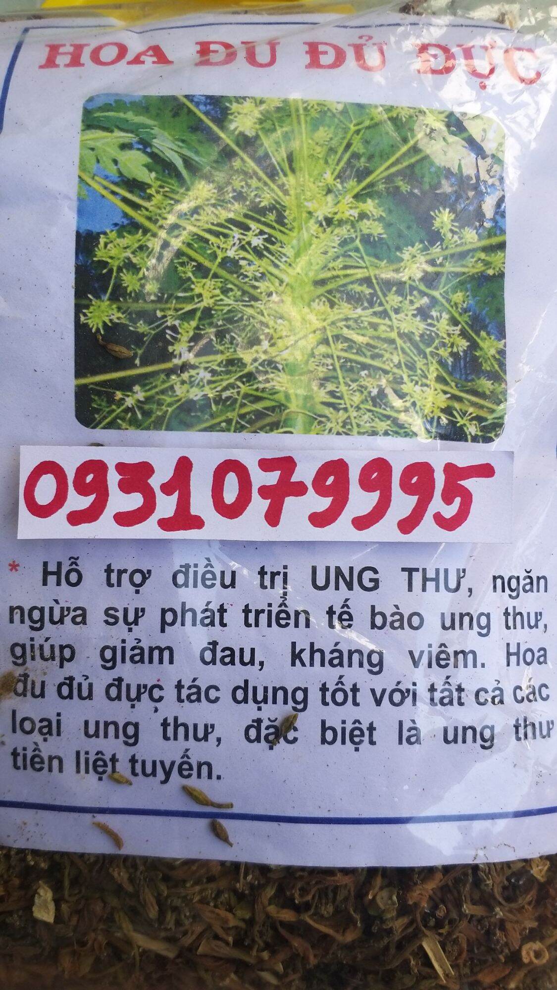 Hoa đu đủ đực - bông đu đủ đực phơi khô 1kg