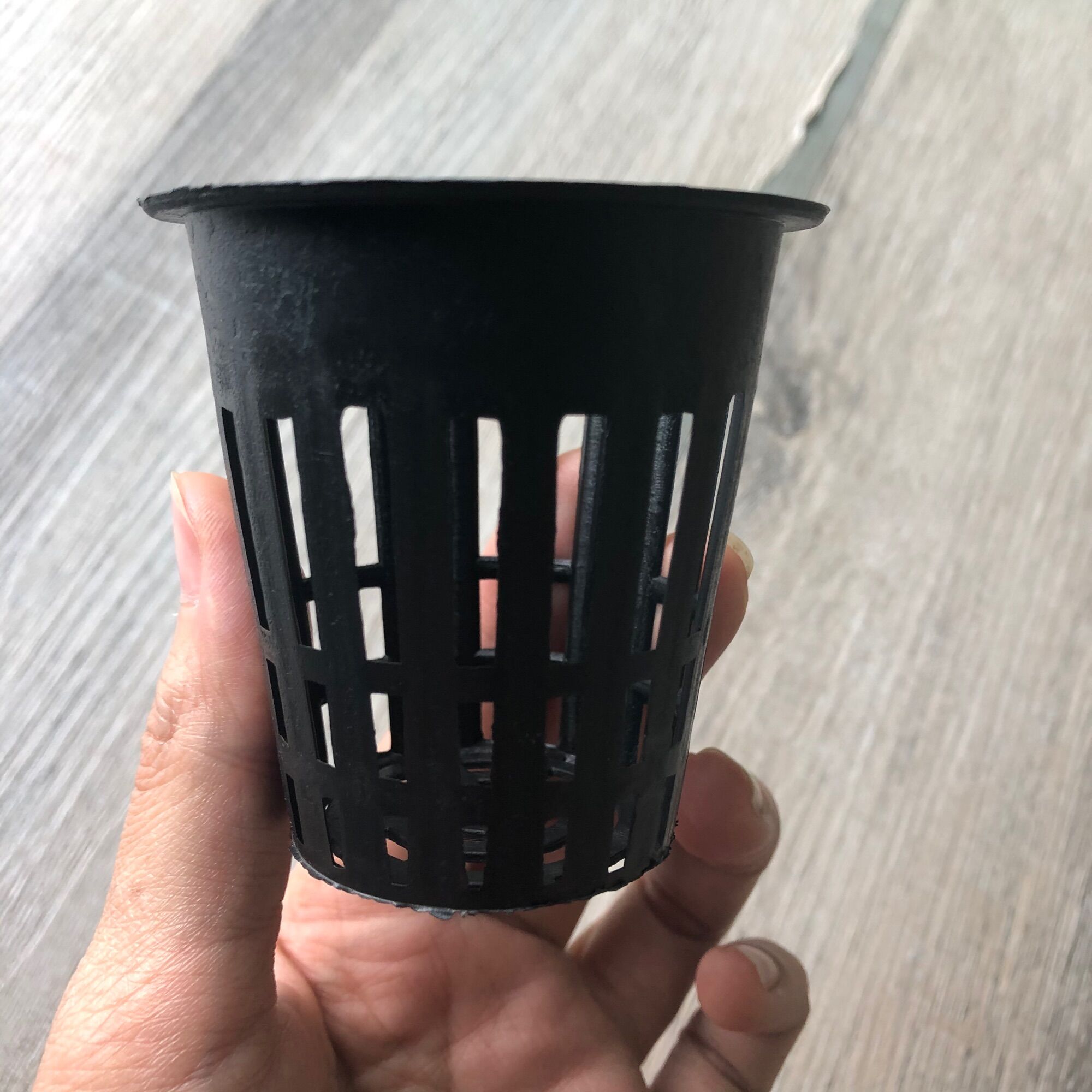 500 Rọ thuỷ canh 65 x 65