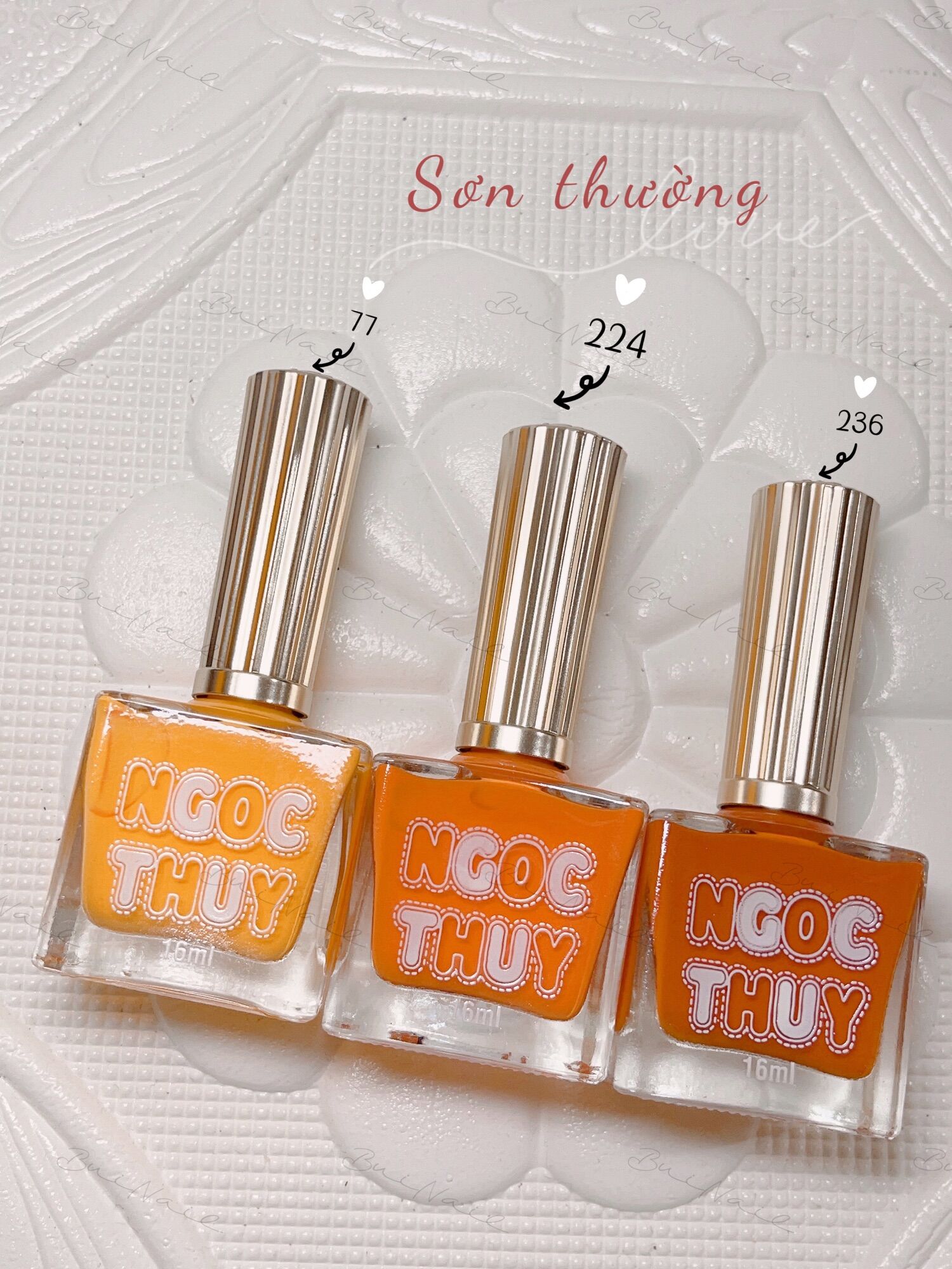 SƠN THƯỜNG NGỌC THUỶ