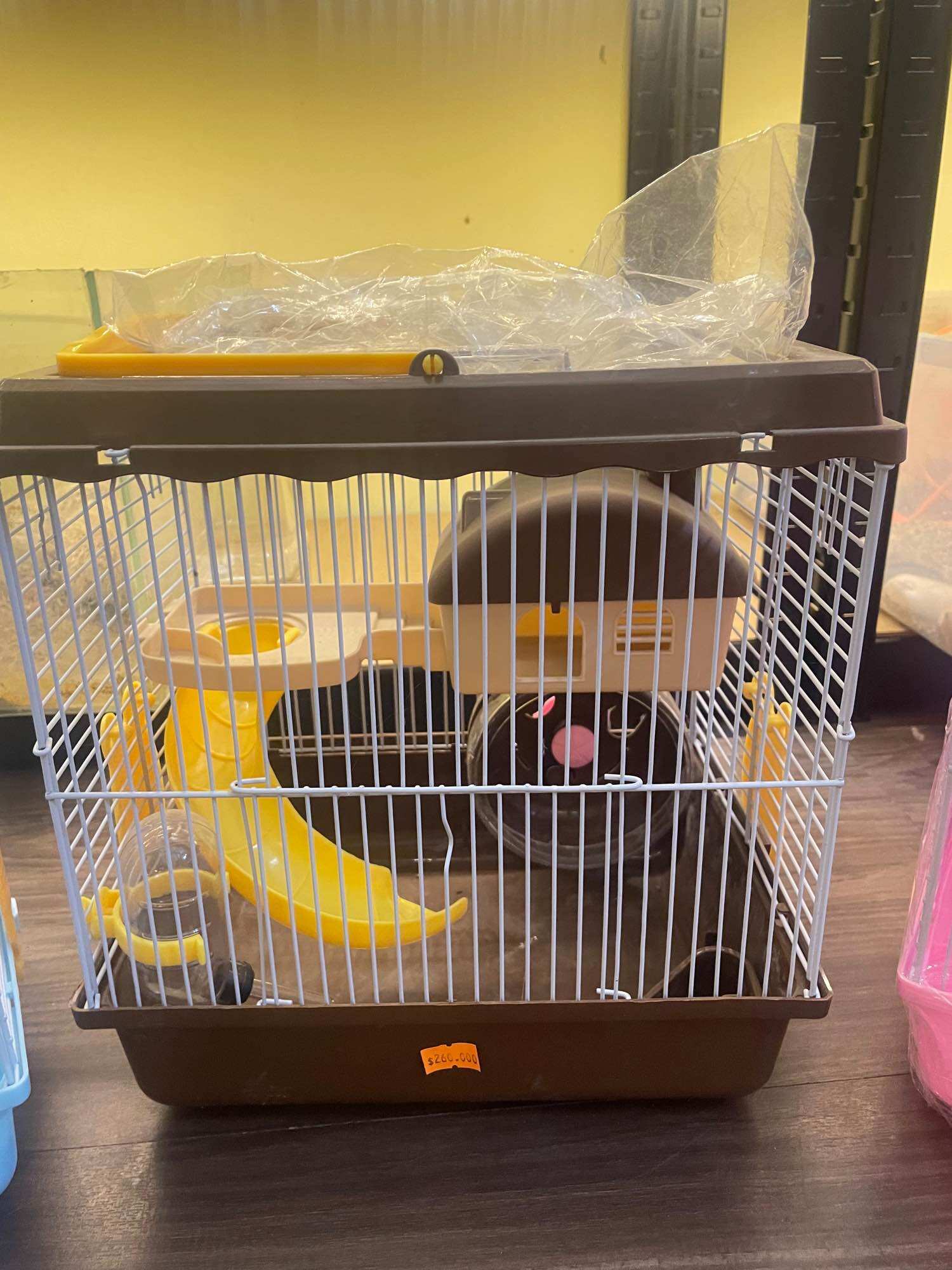 [HCM]Lồng hamster nắp mika trong suốt ( dài27 x rộng21 x cao27cm) )