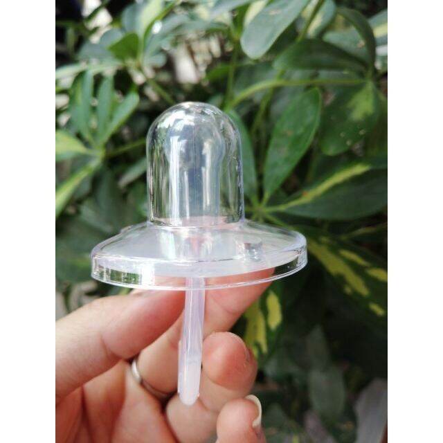 Núm ty ngậm Cacara cho bé siêu mềm