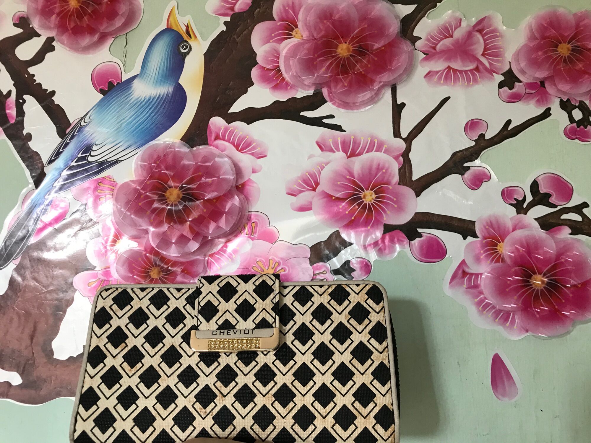 Combo túi và ví cầm tay Charles and Keith