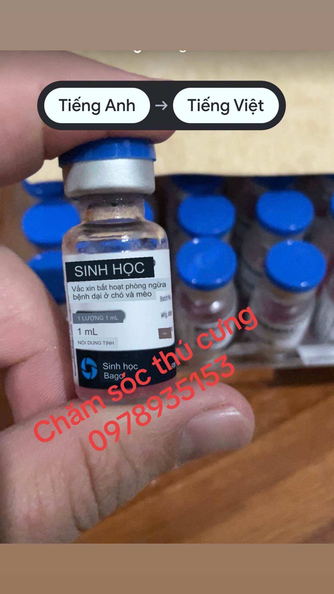 Ngừa Dại cho chó, mèo, thú cảnh.