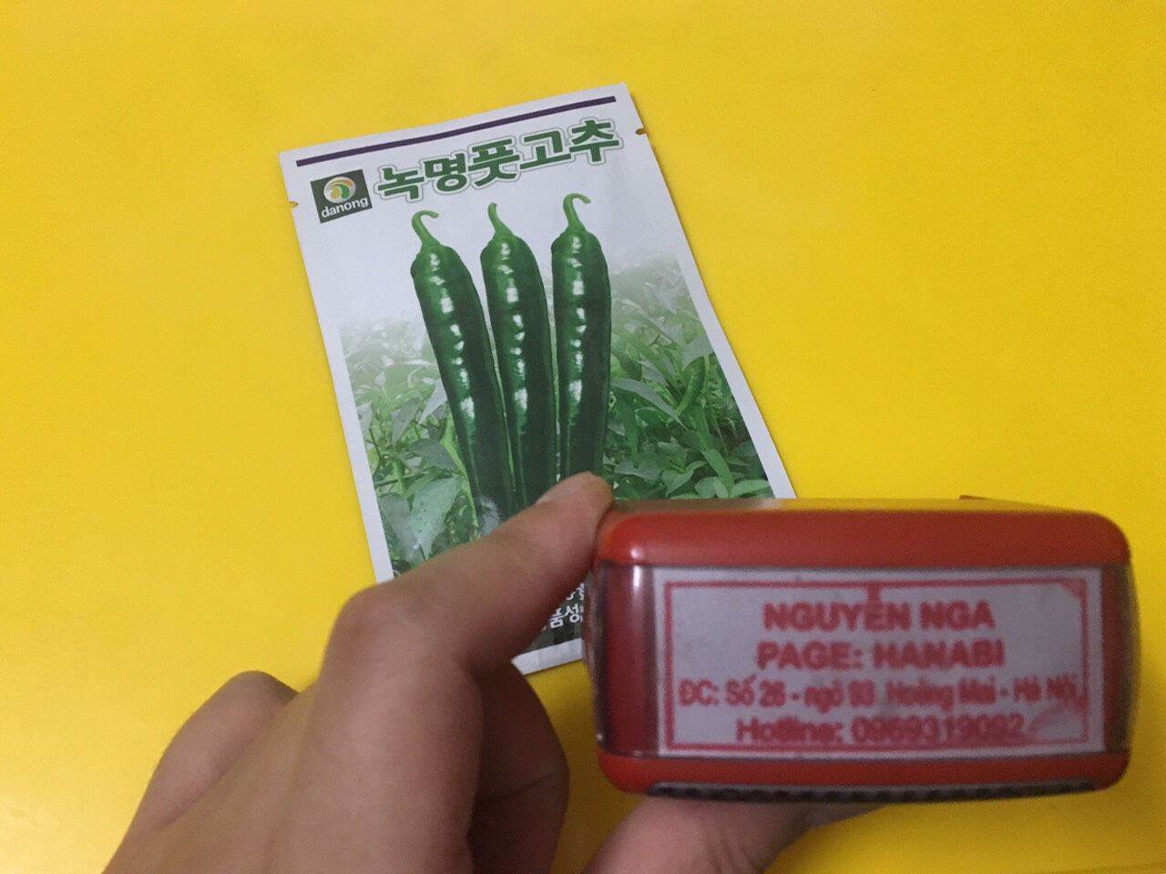 Hạt giống ớt xanh hàn quốc