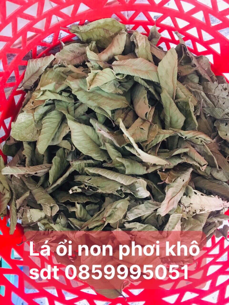 Lá ổi non phơi khô , trà lá ổi non 500gram uống giảm cân