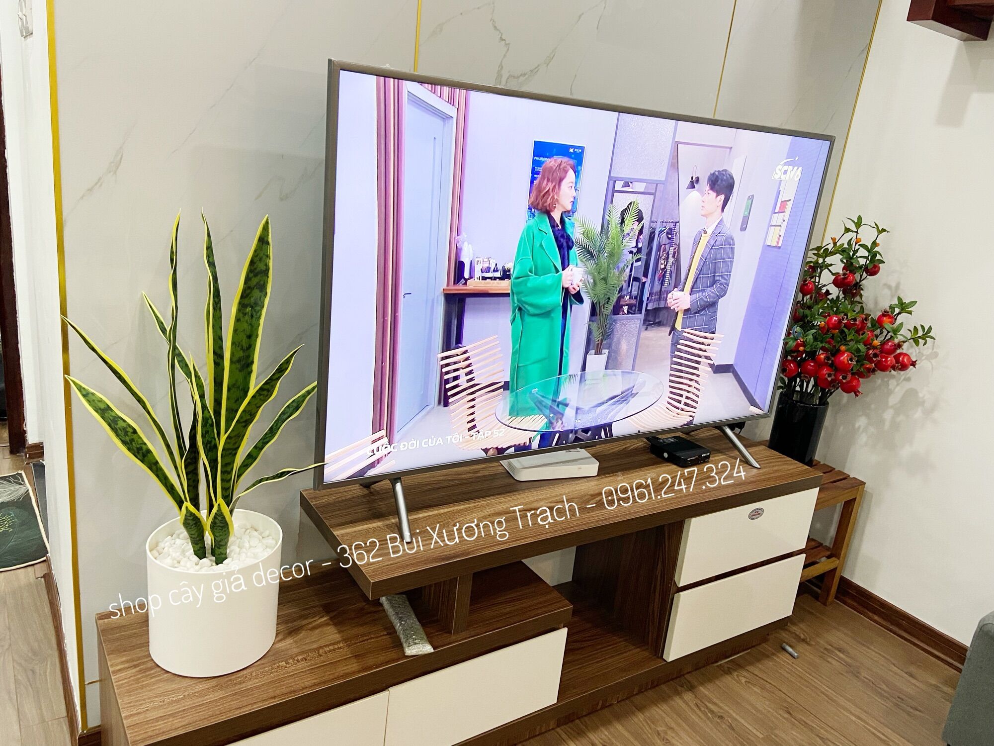 Cây lưỡi hổ giả - cây giả decor