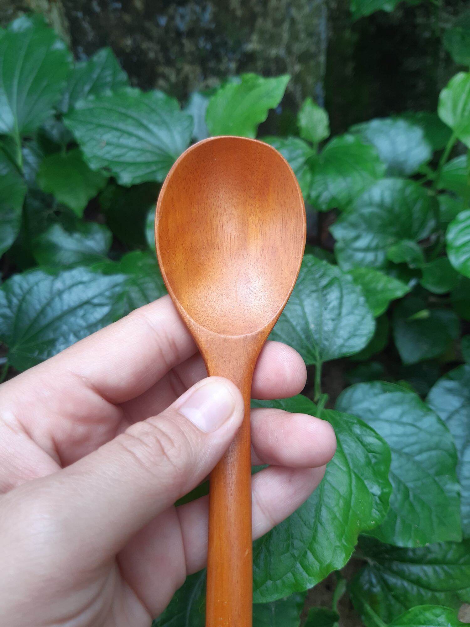 Muỗng dùng nuôi nấm kefir, scoby, men sữa viili, kích thước 3,5x18cm, muỗng khuấy