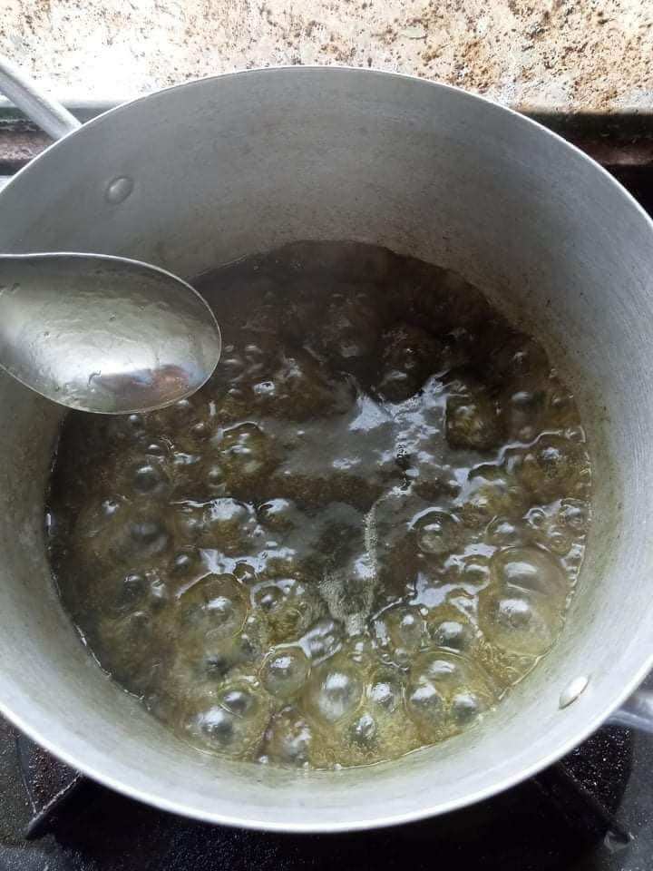 Cây sương sáo làm thạch đen (thạch sương sáo)