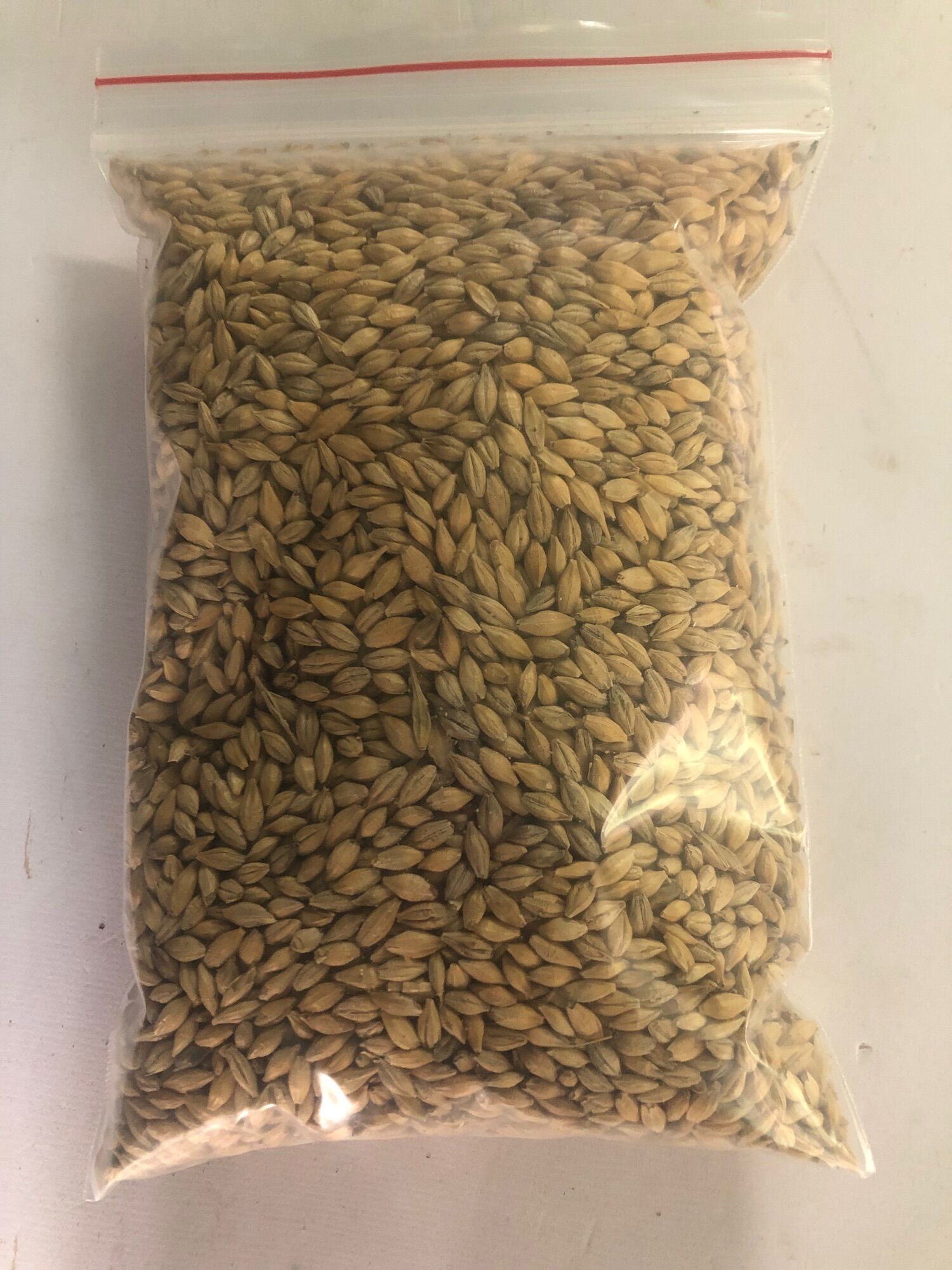 Hạt lúa mạch cho vẹt, sóc, gà, hamster ăn gói 500g - 1kg