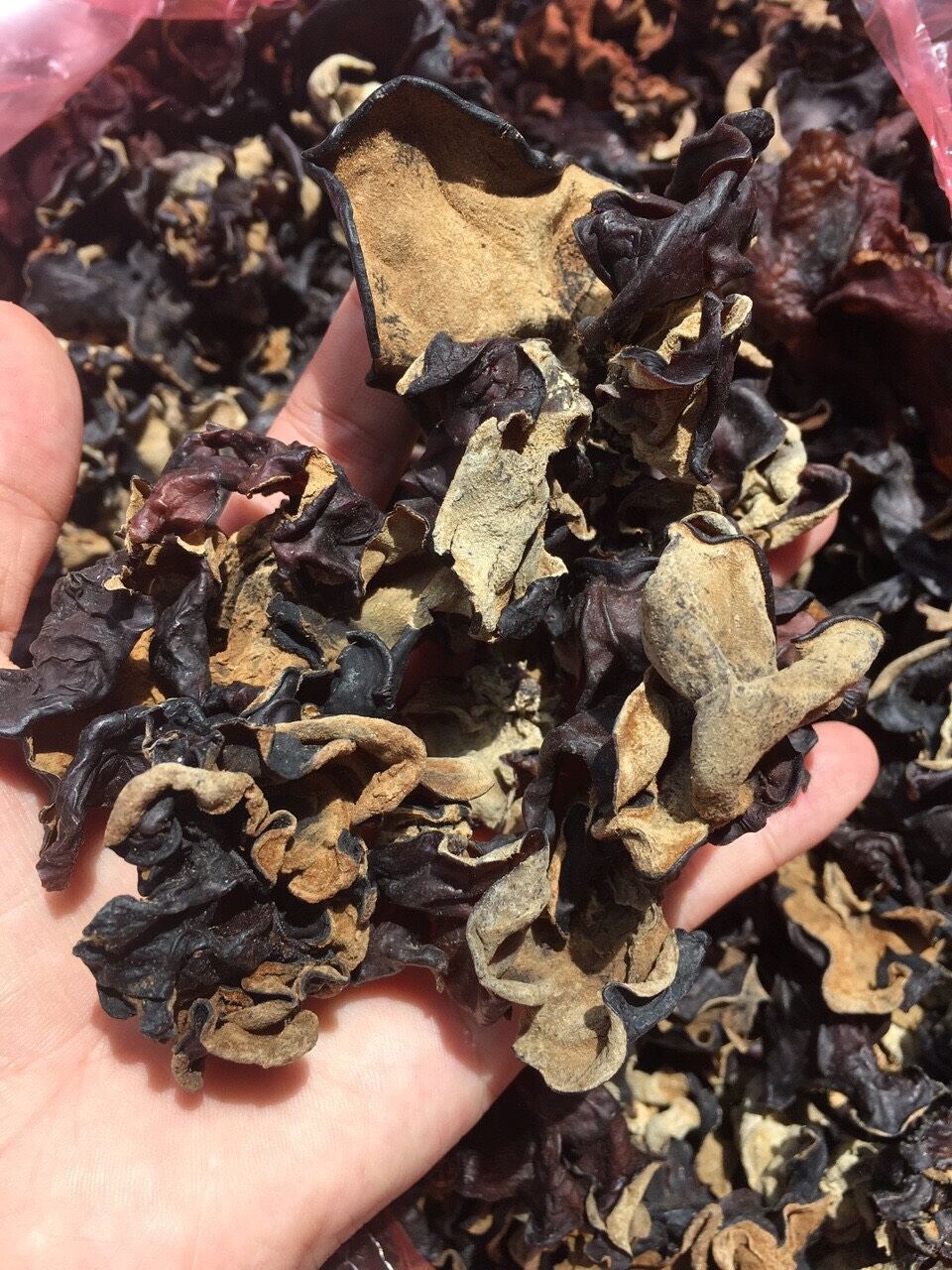 Mộc nhỉ rừng siêu ngon 500gr
