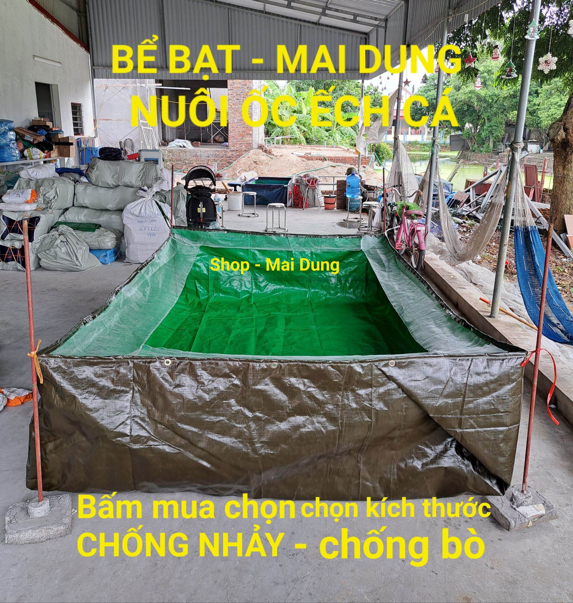 Bể bạt nuôi ốc ếch cá lươn