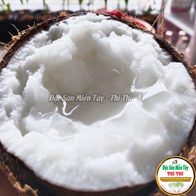 COMBO 2 Dừa Sáp Thượng Hạng Loại 1 Size Nhỏ (Trái 600gr-800gr)