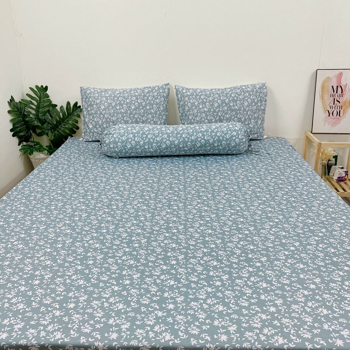 Combo bộ 1m6 + áo gối thêm thun lạnh hàn quốc