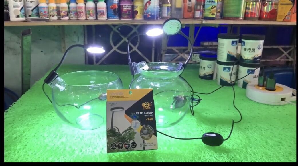 Đèn Led Mini CoCo JY-25 Dành Cho Bể Cá Thuỷ Tinh