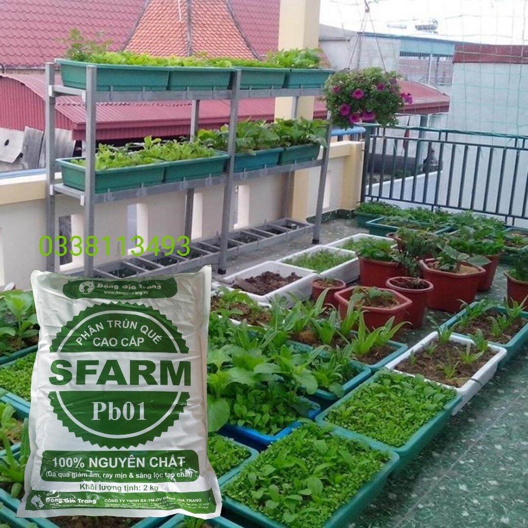 Phân Trùng Quế Cao Cấp Chuyên Dùng Cho Hoa Màu - 2KG