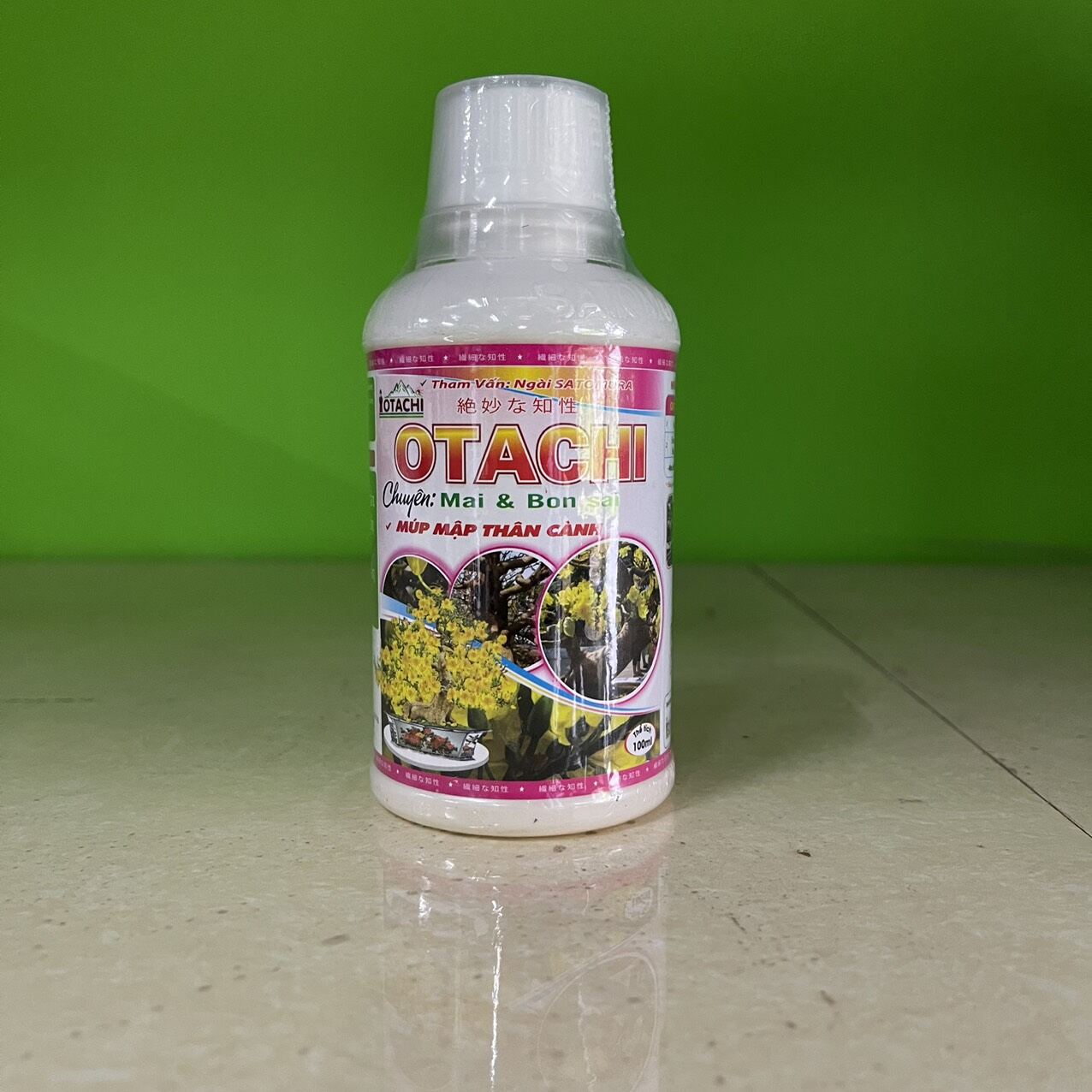 otachi múp mập thân cành 100 ml