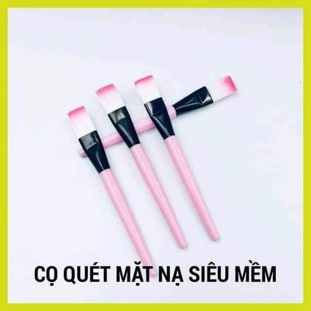 100 CỌ QUÉT MẶT NẠ CÁN HỒNG