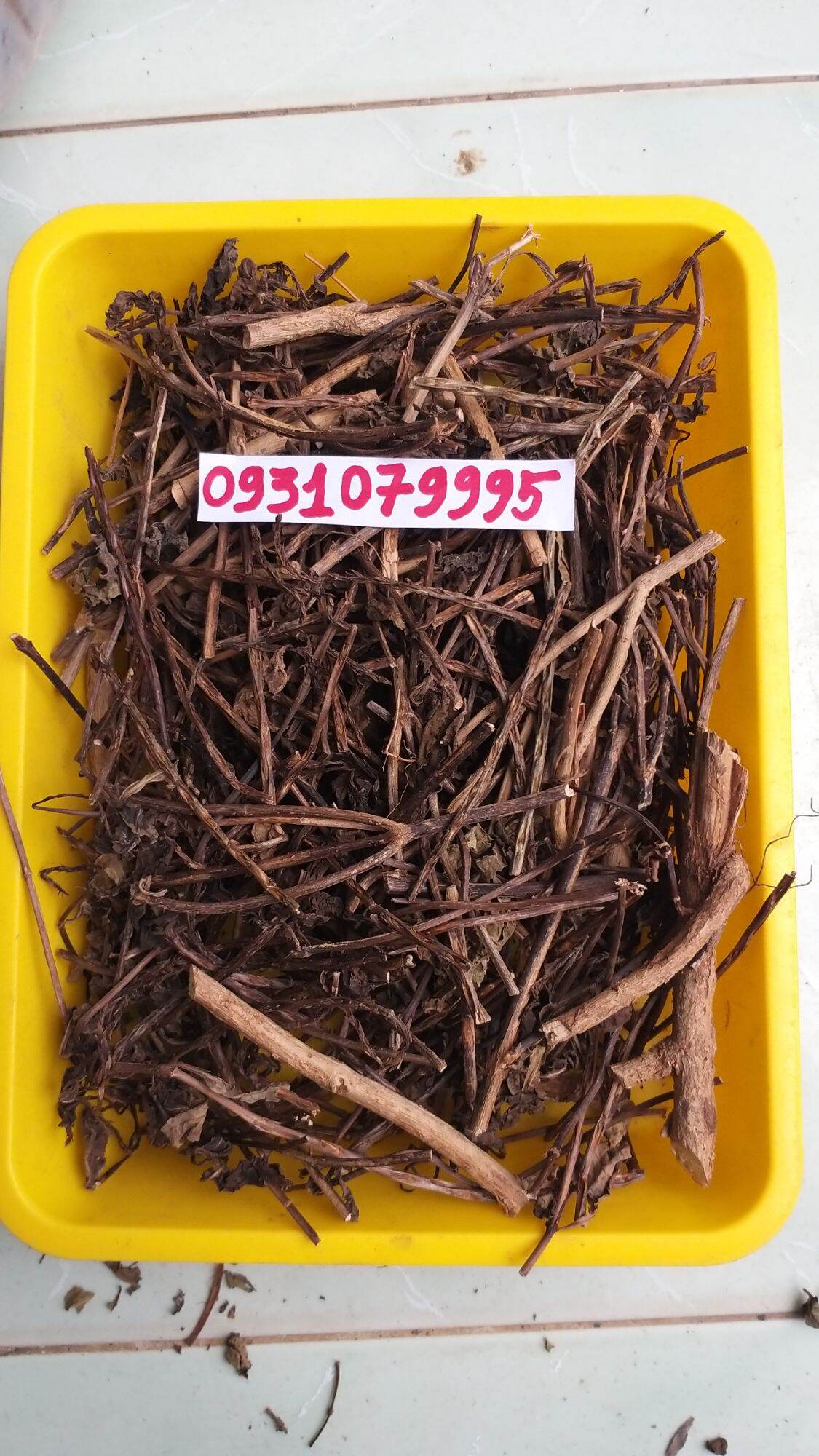 Cây đuôi chuột phơi khô 1kg
