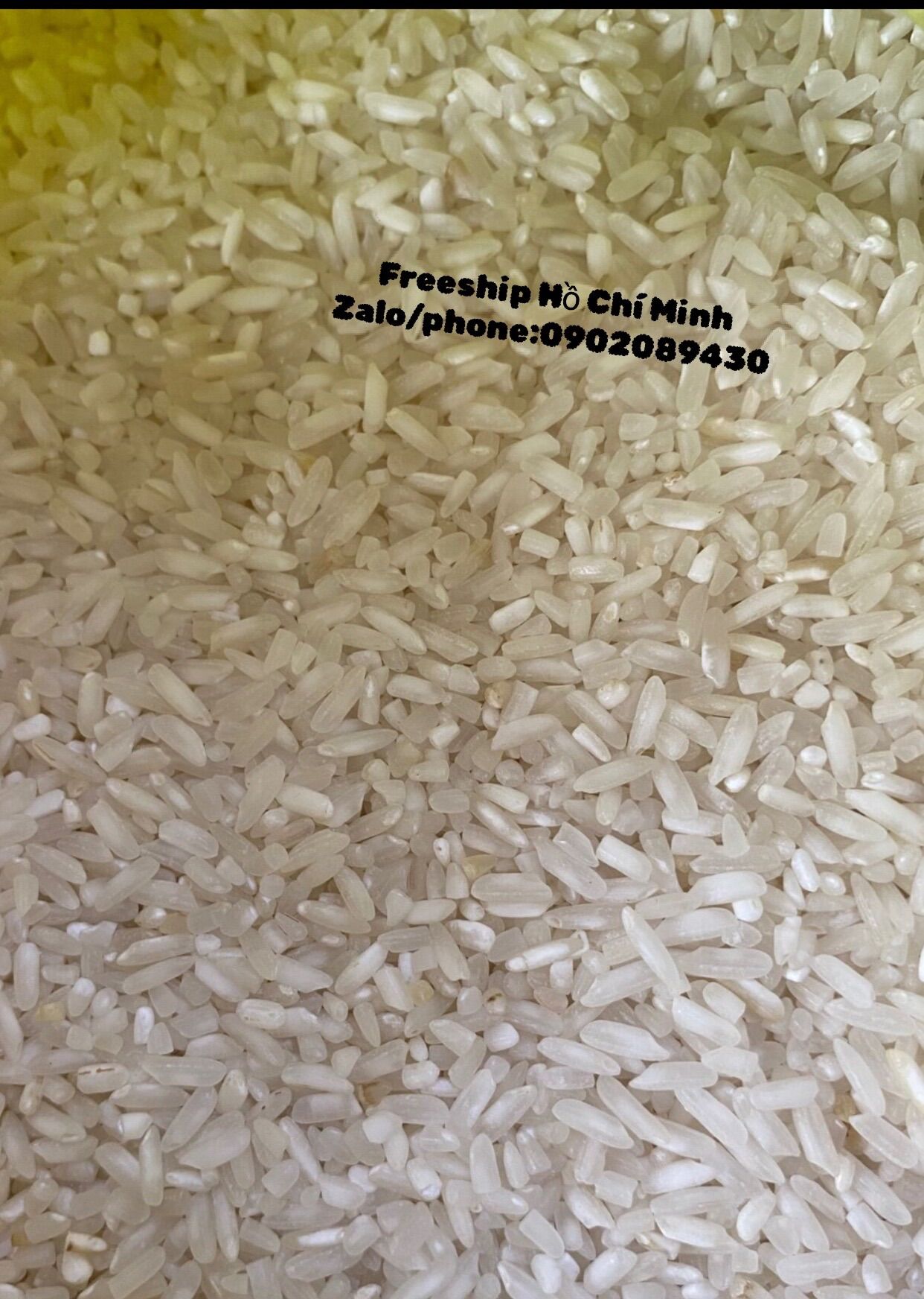 Combo 5kg gạo 404 xốp cơm