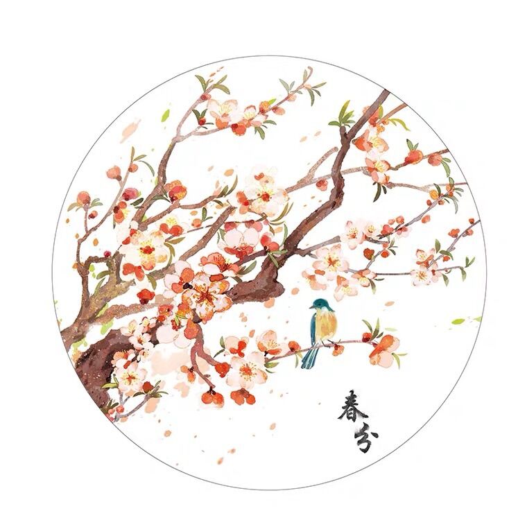 [chiết 8cm x 35cm ] băng dán washi tape Xuân phân dạng Pet