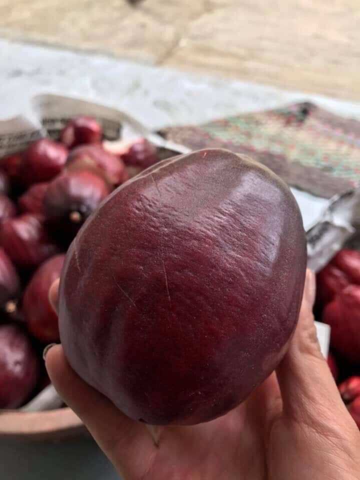 Cây Giống Mận Điều Thái Huyết