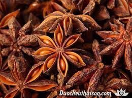 Hoa hồi Vipep 15g