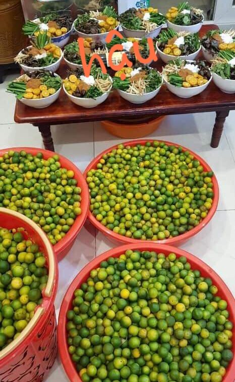 SIRO THẢO MỘC QUẤT HÚNG CHANH ĐƯỜNG PHÈN