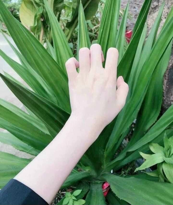 Kem Kích Trắng Arbutin 3c3