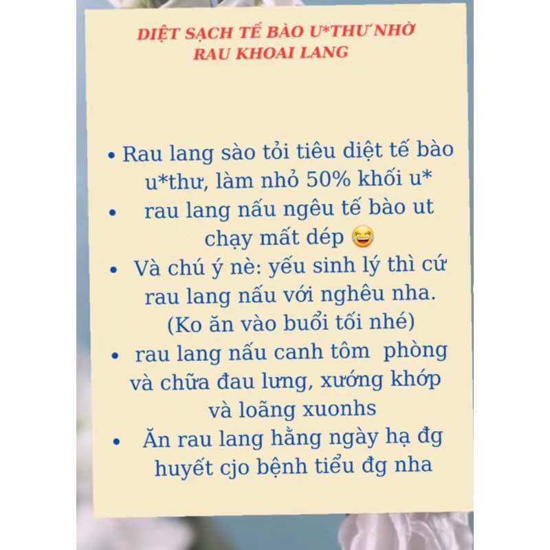 rau lang nhật ngọt (30 nhánh)