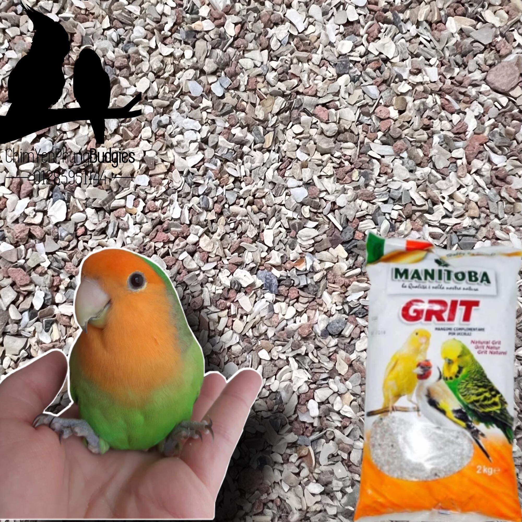 500g khoáng Grit (vỏ sò + đá đỏ xay) cho Chim Cảnh • Bồ Câu • Vẹt...