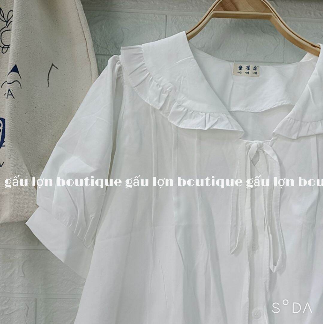 áo sơ mi cổ bèo buộc nơ tiểu thư ảnh thật