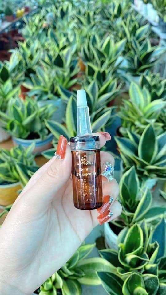 Serum collagen X3 (Đông Anh)