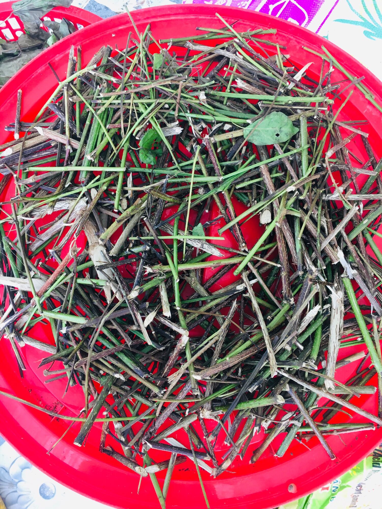 1kg thân cây cách phơi khô cả thân và lá