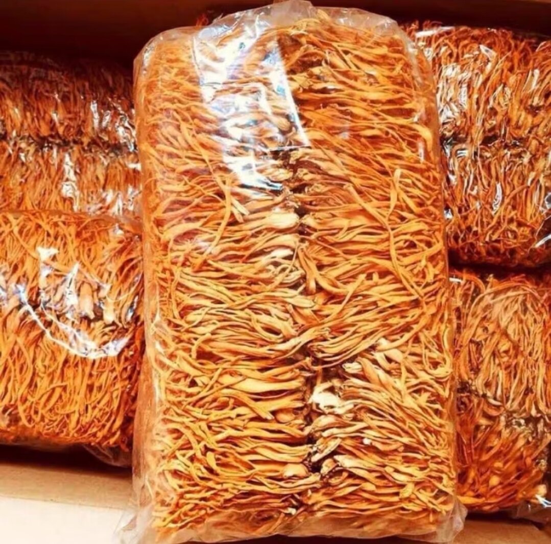 500G ĐÔNG TRÙNG HẠ THẢO SẤY KHÔ THƠM NGON BỔ DƯỠNG