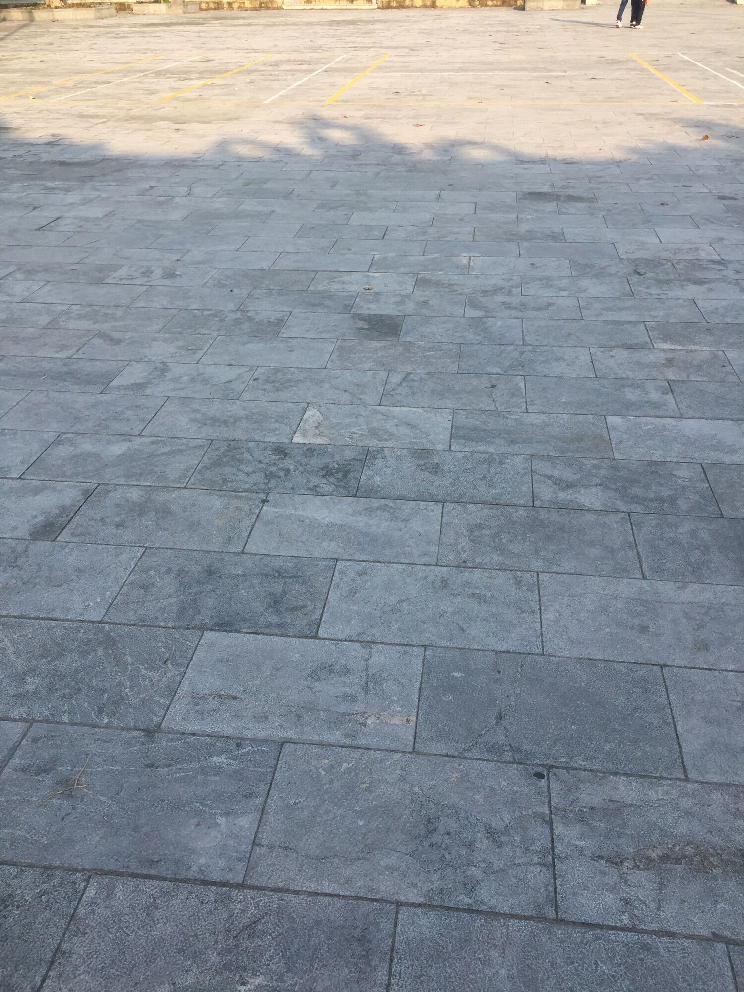 Khuôn tấm Đan đón nước
