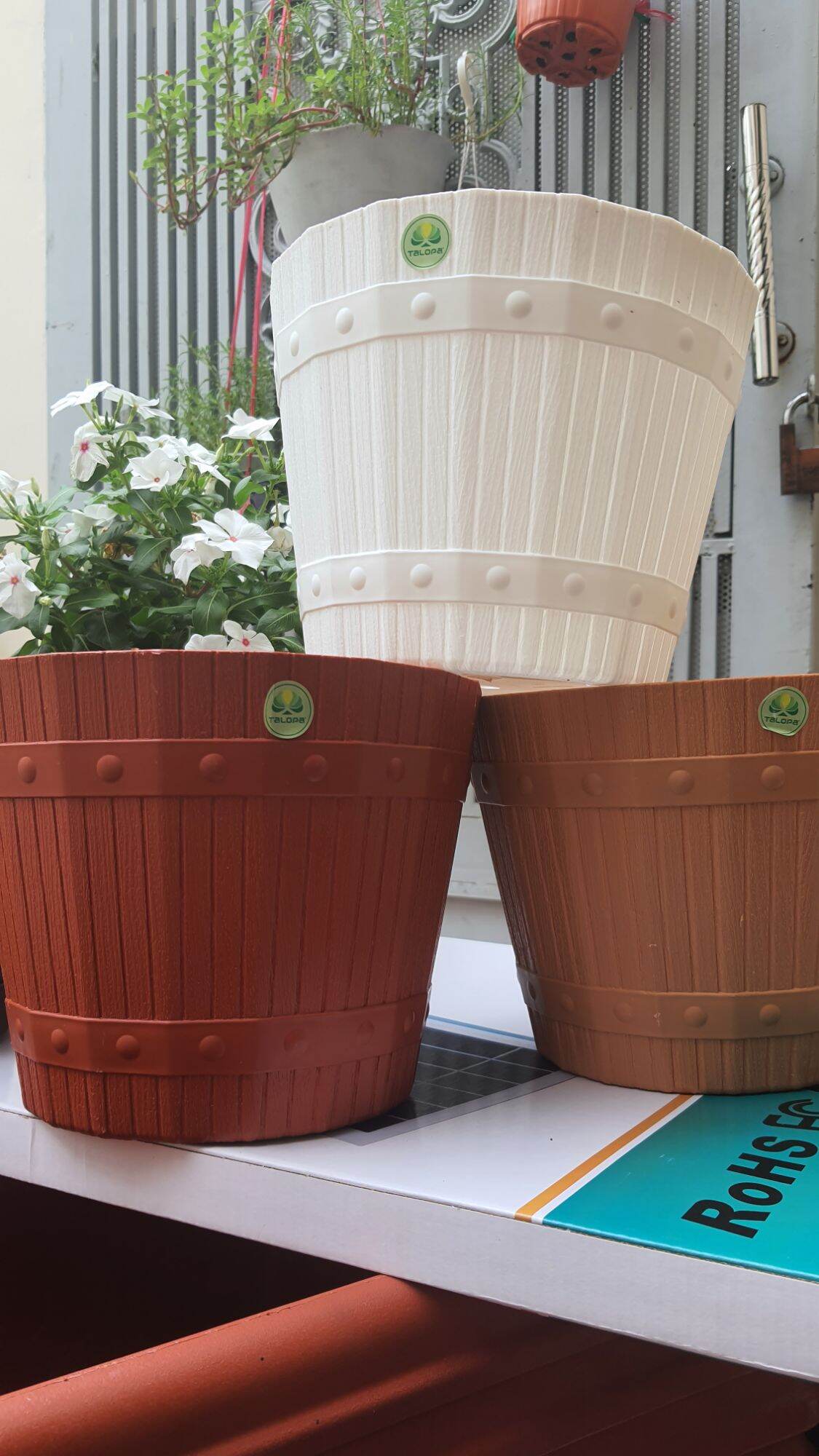 combo 5 chậu nhựa kiểu thùng gỗ đk 21cm