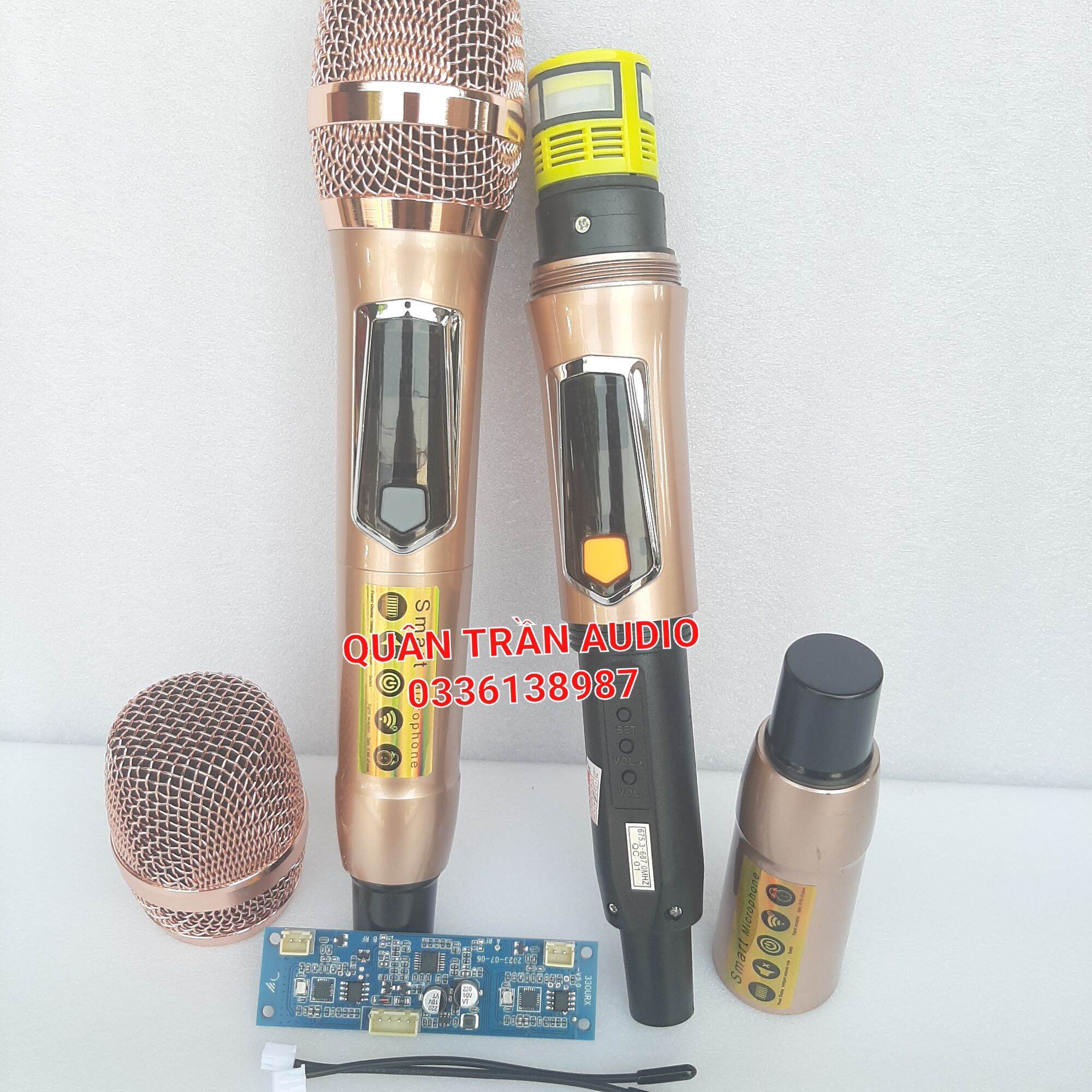 Micro Loa kéo không dây cao cấp sét được tần số
