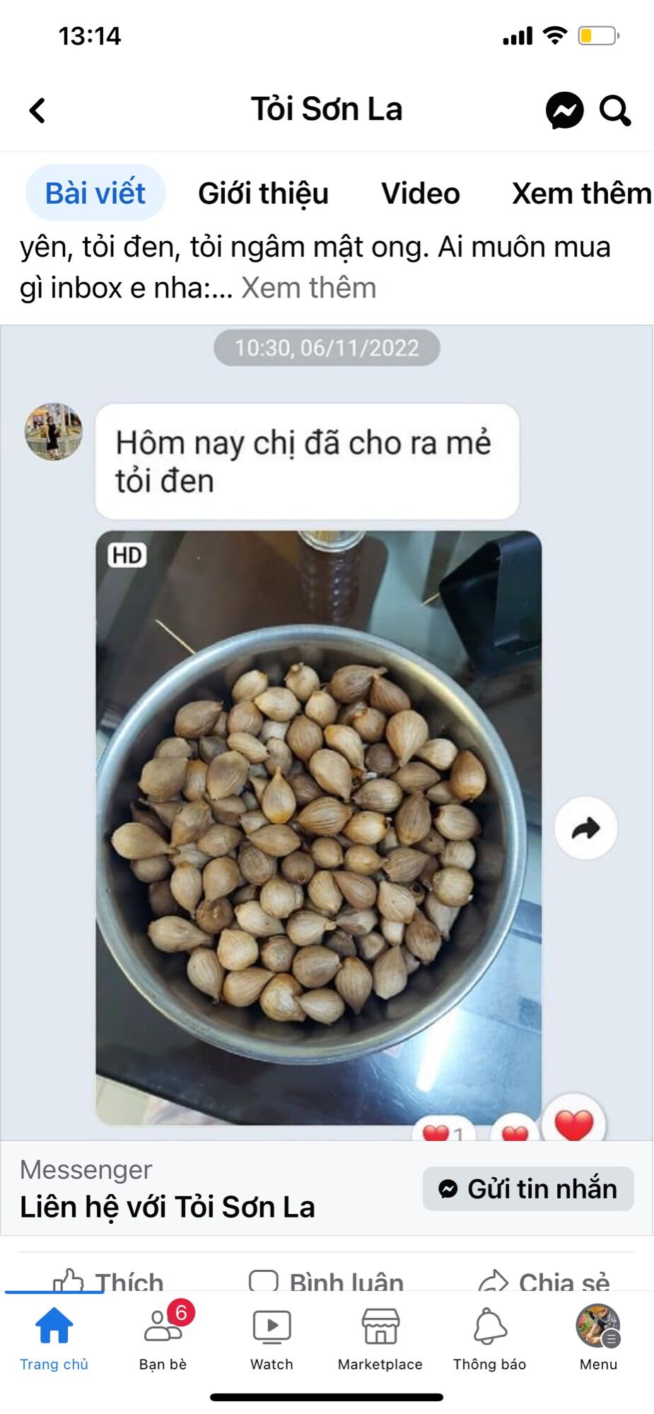 Tỏi cô đơn phù yên Sơn La 1kg