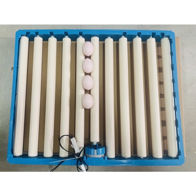 Timer điều khiển khay đảo trứng 220V