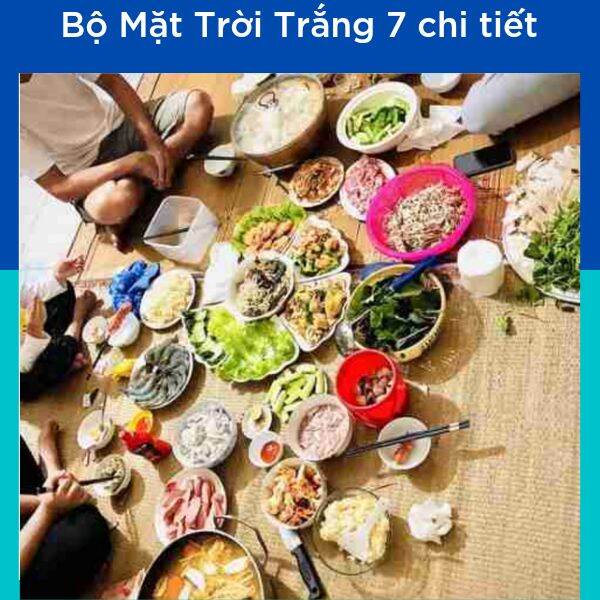 Bộ Hoa Mặt Trời 37 chi tiêt trắng.