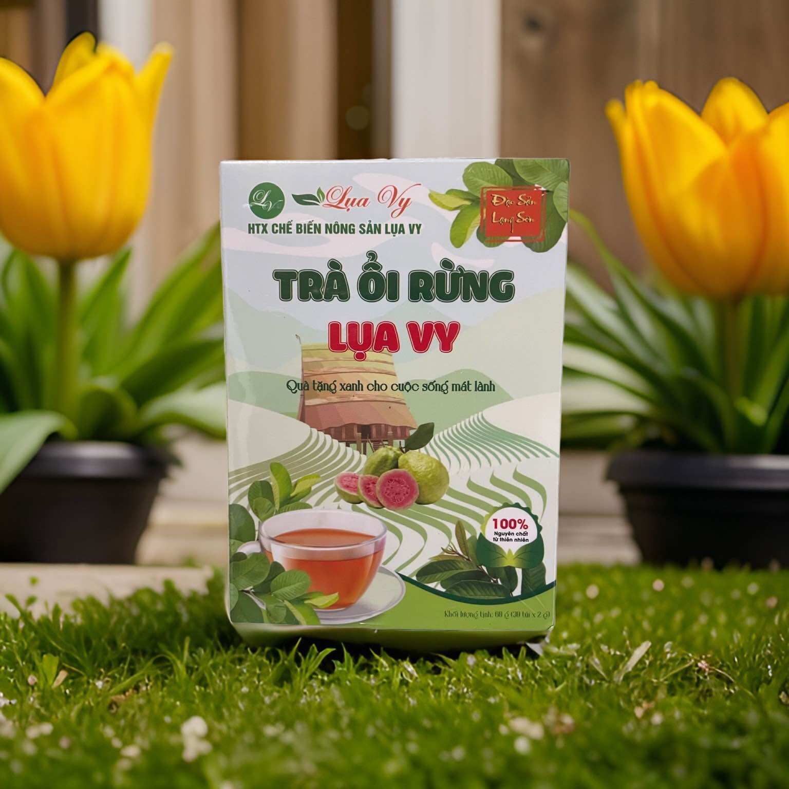 Trà Ổi Lụa Vy- Trà giảm cân an toàn hiệu quả