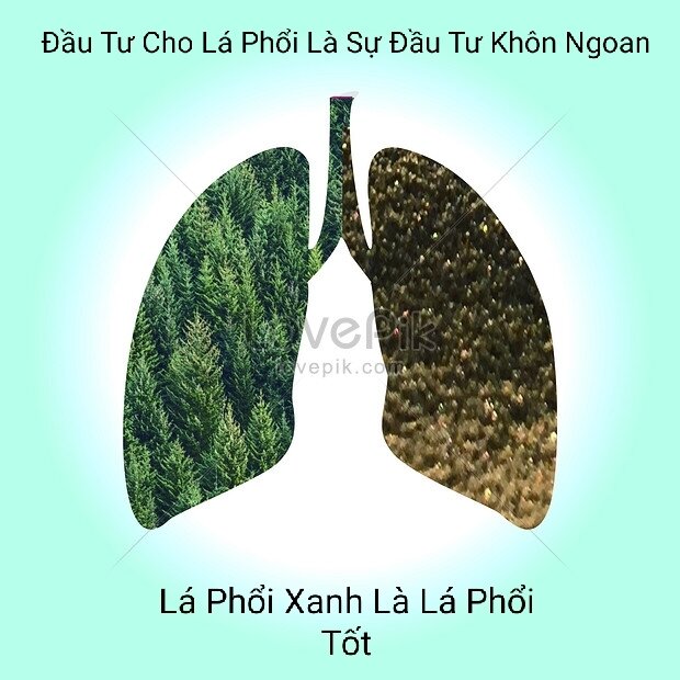 Ho bổ phế FiTo - Bổ phổi - Hỗ trợ phổi ( Chính hãng)