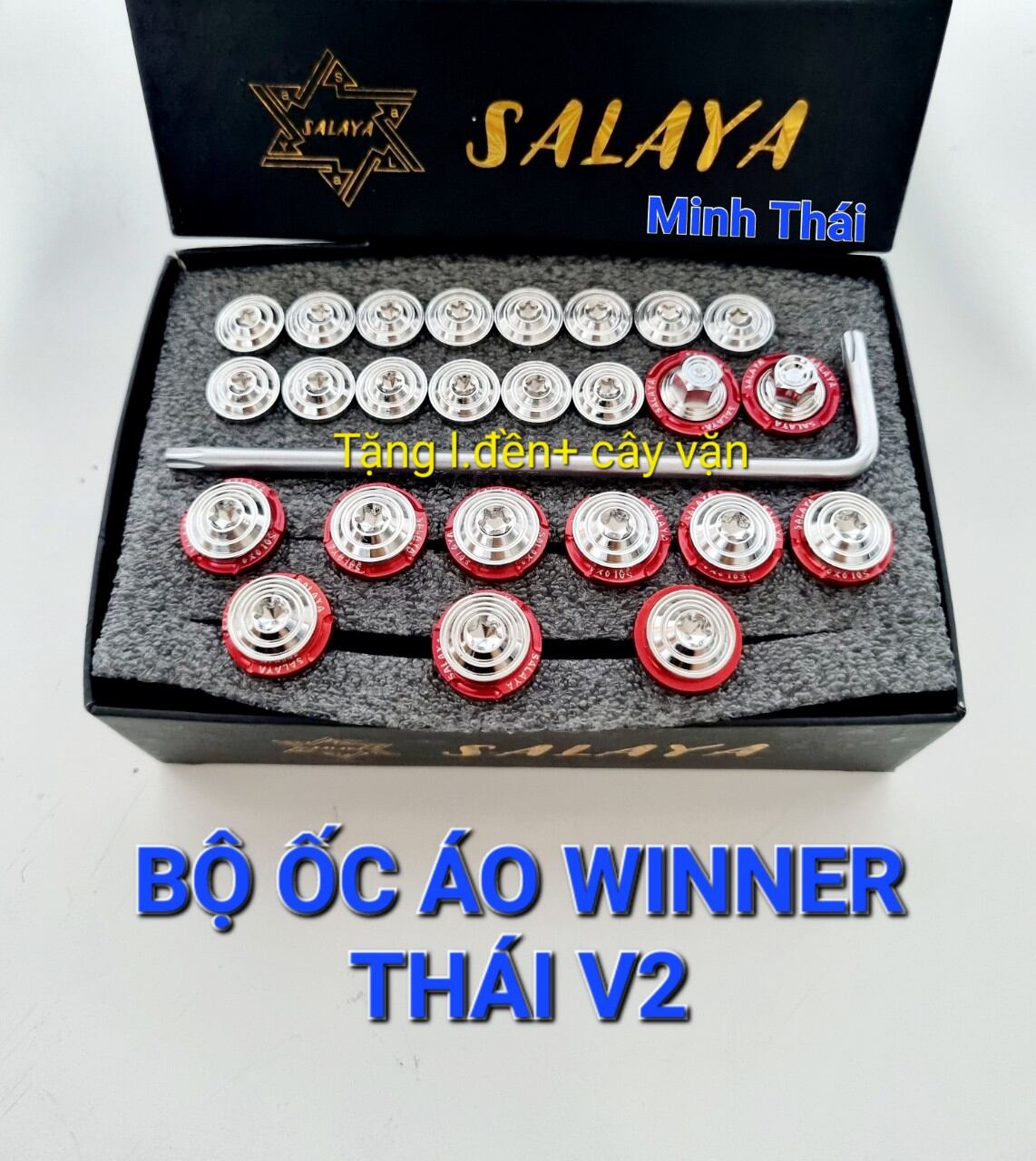 Ốc áo winner thái v2