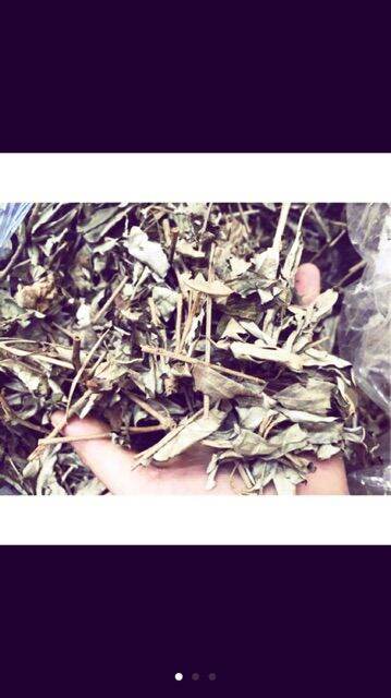 500gr lá khổ sâm khô thơm sạch.