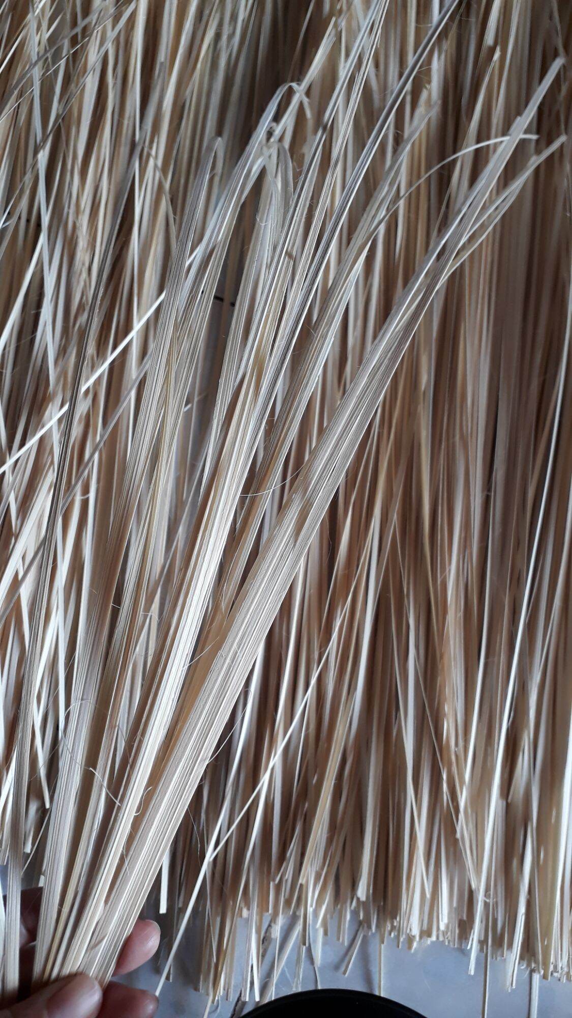 lạt gói bánh tét ( 5 tép )