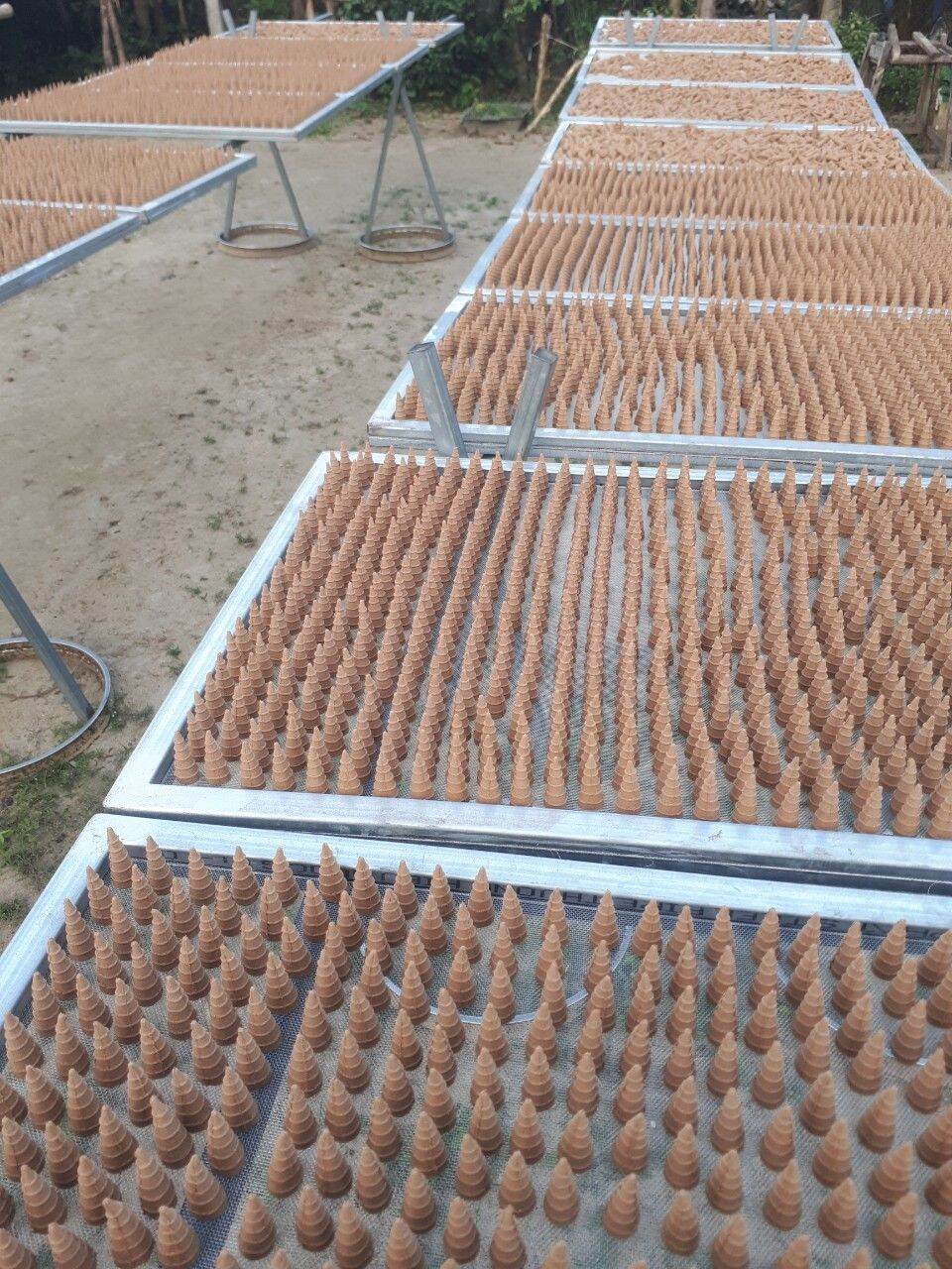 Nhang nụ trầm cao cấp (1 hộp: 36 nụ trầm sạch)