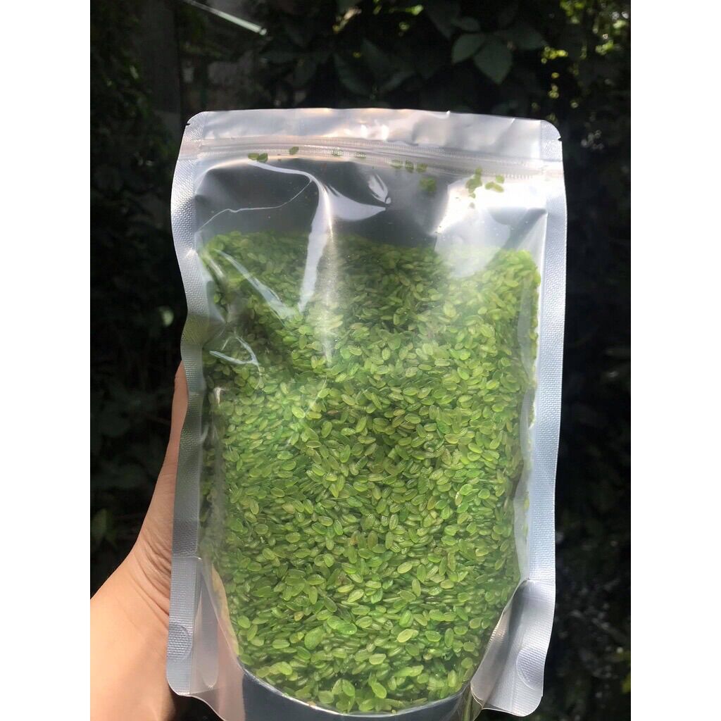 1KG CỐM XANH LÀNG VÒNG ĐẶC SẢN HÀ NỘI