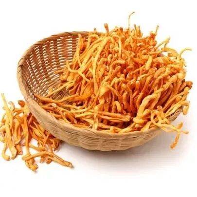 100gr Đông Trùng Hạ Thảo Khô Loại 1
