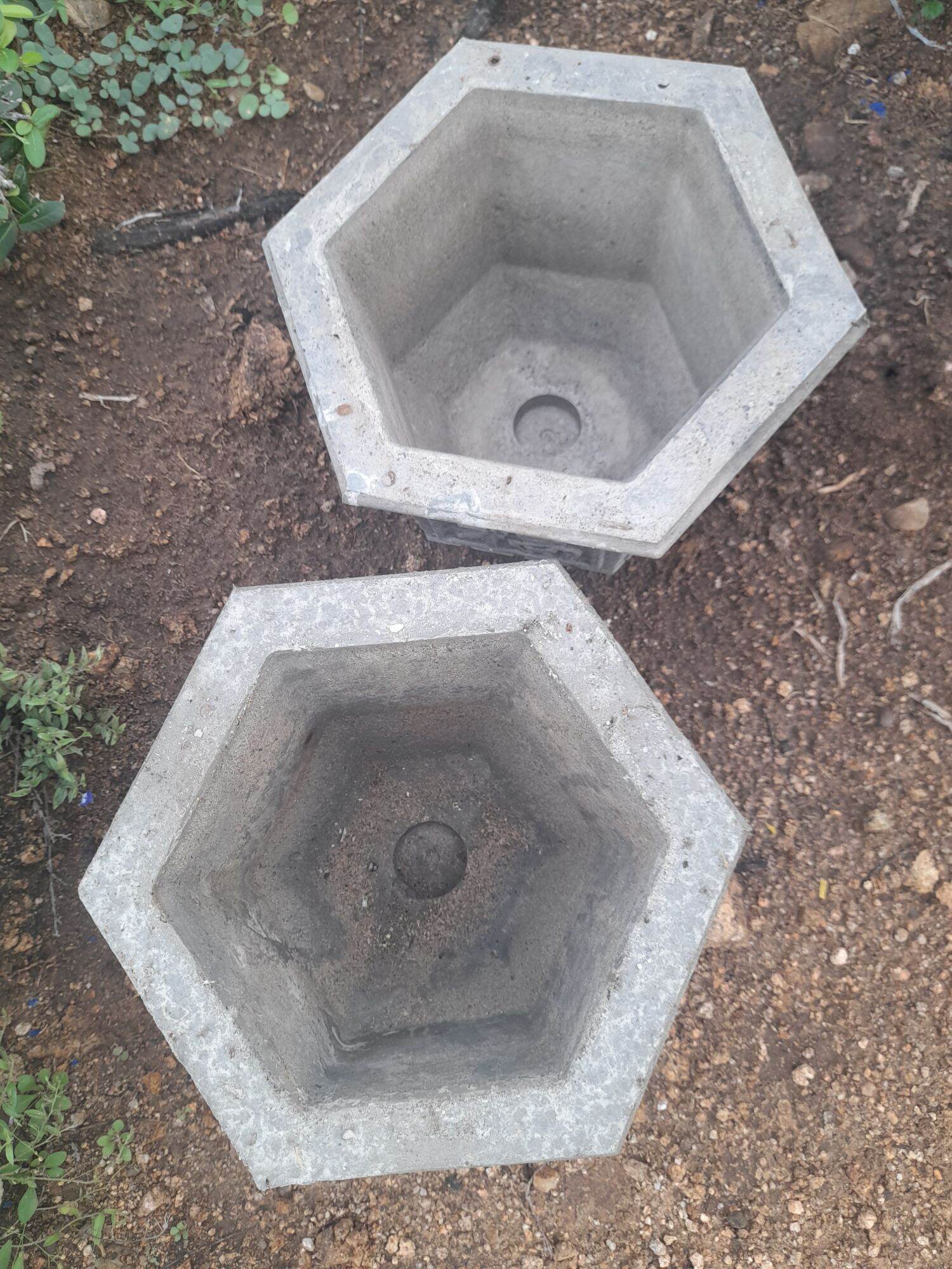 [Freeship] Chậu xi măng lục giác 20cm, rẻ đẹp, bền chắc dùng trồng cây cảnh. Dừa bonsai Ninh Thuận 031121.