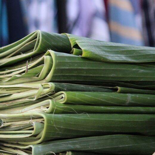 1KG LÁ CHUỐI TƯƠI DÙNG GÓI BÁNH TÉT, BÁNH Ú, BÁNH LÁ...